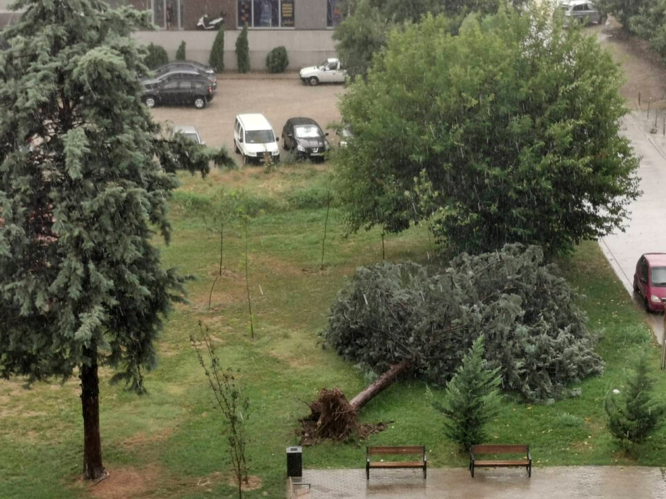 Откорнати дрвја и вивнати покриви – Скопје по невремето