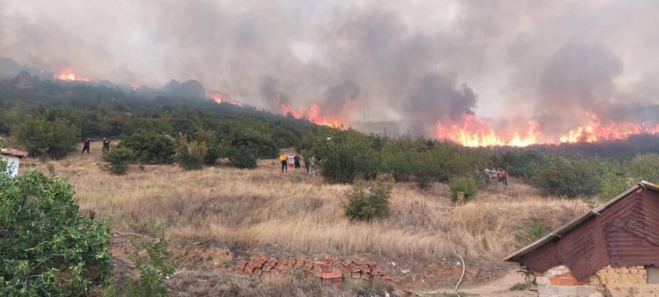 Се шири пожарот помеѓу Гевгелија и Богданци, загрозено селото Ѓавато и ветерниците