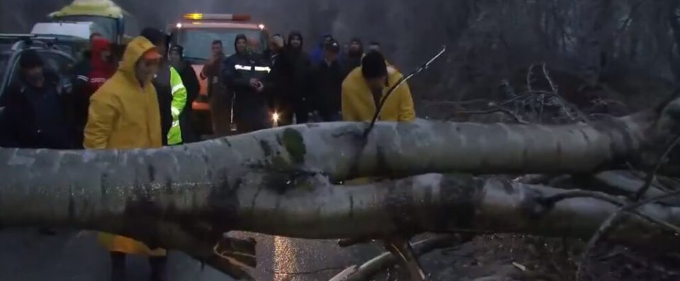 Поради паднато дрво во прекин сообраќајот на регионалниот пат Демир Хисар- Прилеп