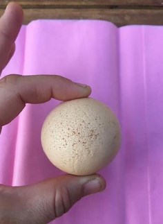 Ова јајце чини 35.000 денари