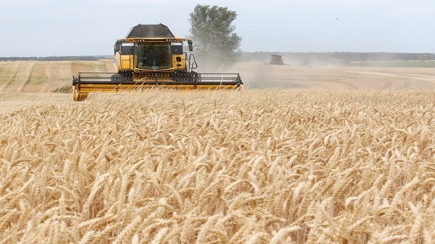 Украина ја омекнува реториката, бара дипломатско решение со Полска и Словачка за извозот на жито