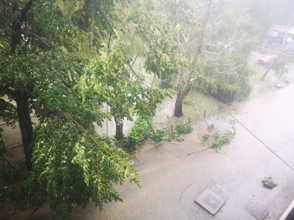 Страшно невреме го зафати Скопје – скршени дрвја, летнати кровови, поплавени улици