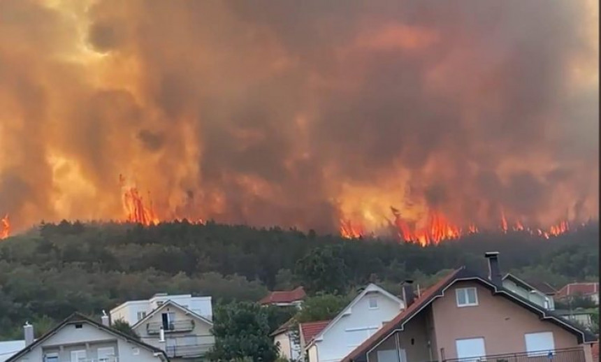 Вонредна состојба во општина Прешево, горат 50 хектари борова шума