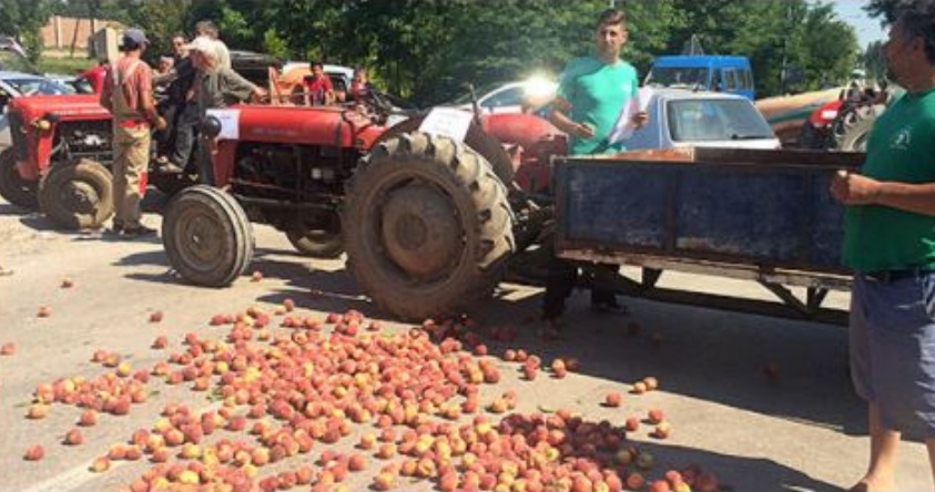 Земјоделците оставени на немилост: Овоштарите од Преспа утре ќе го блокираат патот Битола – Ресен – Охрид