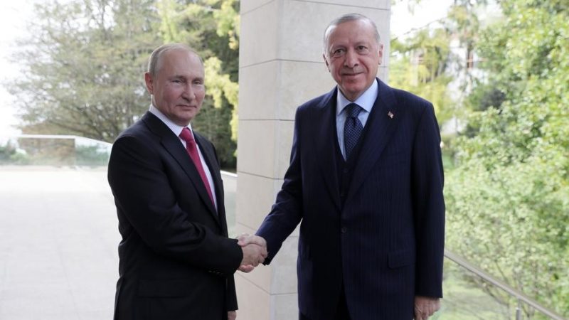 Путин: Европа да и се заблагодари на Турција за транзитот на гас од Русија