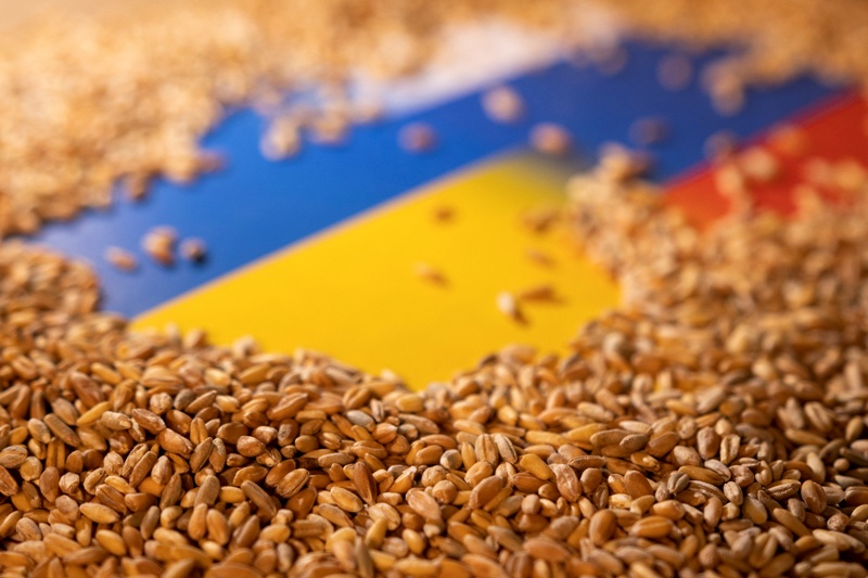 Франција работи на копнени рути за извоз на украинско жито