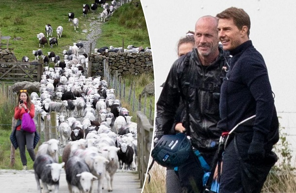 Снимањето на осмиот филм од серијалот „Невозможна мисија“ прекинато од стадо овци
