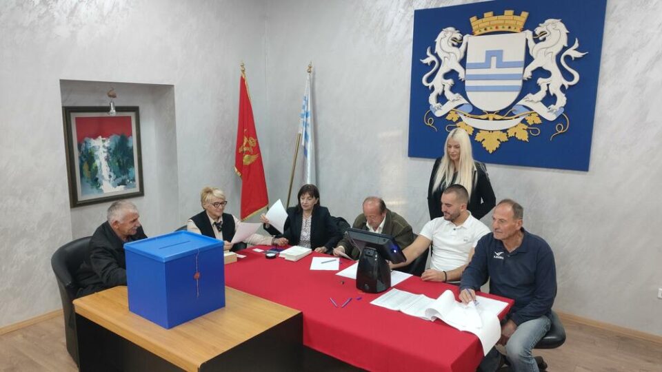 Избори во Црна Гора