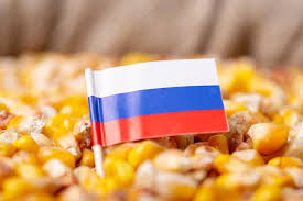 Русија повтори  дека нема да дозволи непречен премин на бродови со жито