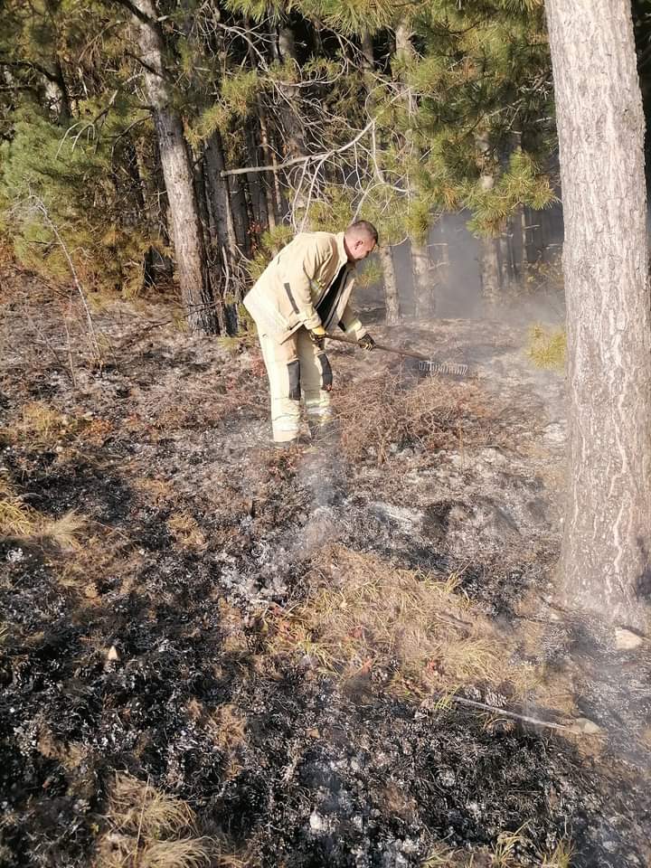 Изгаснат пожарот во каменичкото село Костин Дол
