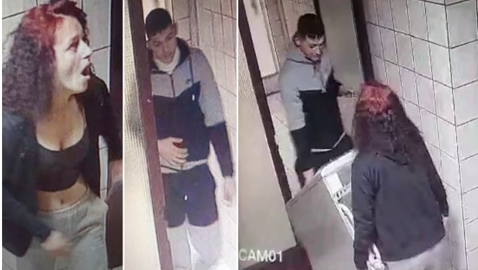 Нова снимка од крадци кои оперираат во Скопје