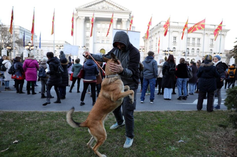 Протест пред Влада: Не сакаме ни бездомни кучиња, ни искасани граѓани, туку забрана и казни за оплодување домашни миленици