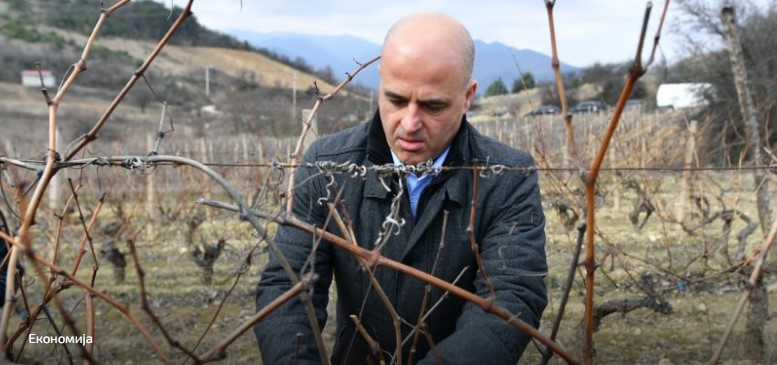Ковачевски: Вложуваме во нашиот заштитен знак – македонското вино