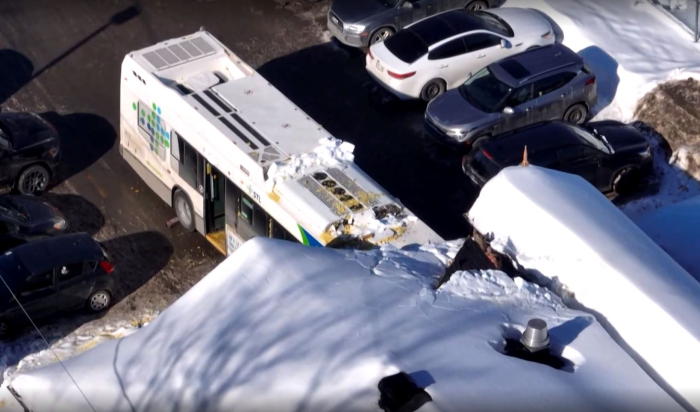 Трагедија во Канада: Автобус удри во градинка, има и жртви