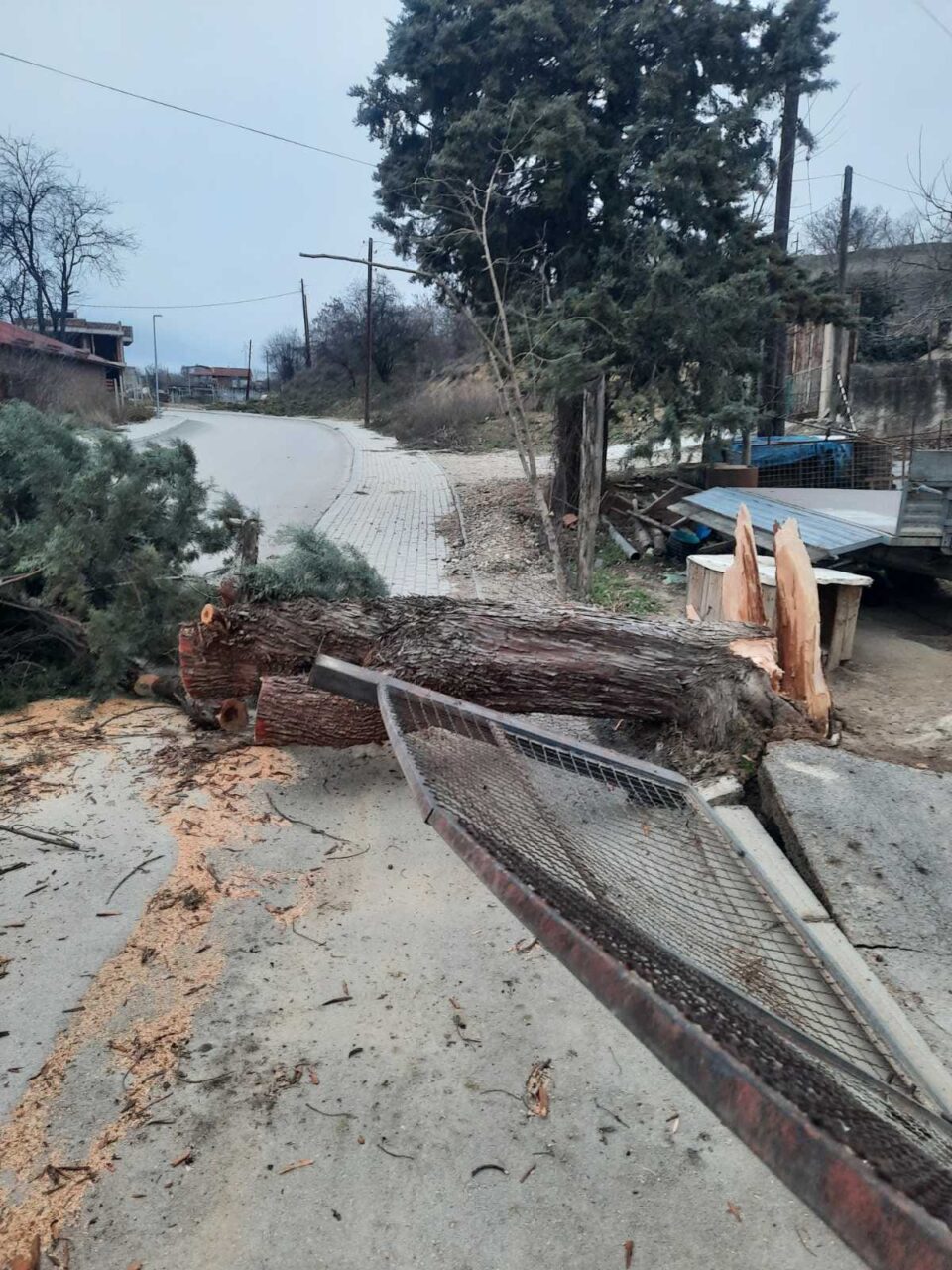 Ветерот откорна дрвја и бандери во околината на Кавадарци