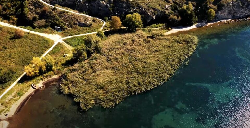 Објавен документарен филм за значењето на трската во Охридското Езеро