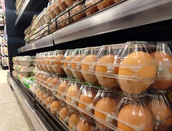 Новите мерки ќе предизвикаат недостиг на јајца на пазарот: Живинарските фарми излегоа со предупредување