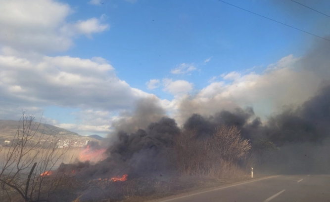 Магистралниот пат Кочани-Виница зафатен од пожар