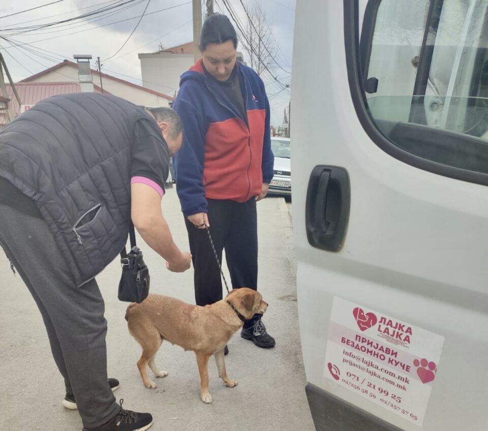 Тим на „Лајка“ заловува бездомни кучиња во општина Аеродром