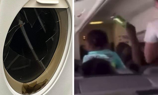Тепачка меѓу патници заврши со скршено прозорче, авионот двапати принудно слетал