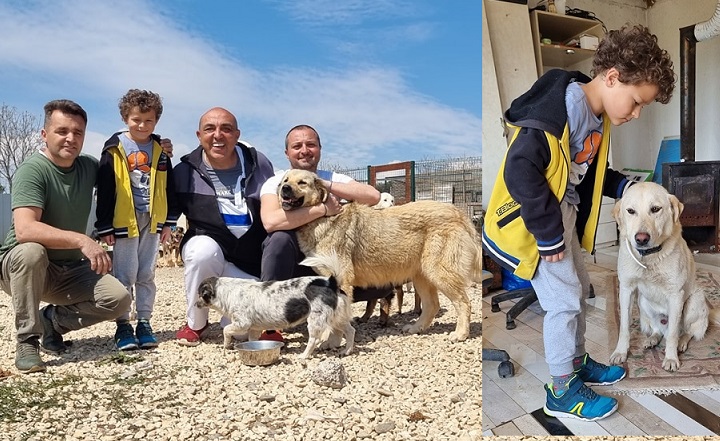 Малиот Виктор од Скопје ги продал своите играчките за да ги донира собраните пари за бездомните животни