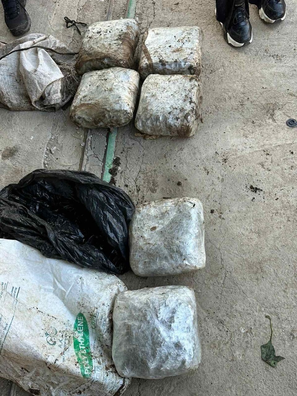 Приведени 28 лица за трговија со дрога во голема полициска акција на „тигрите“