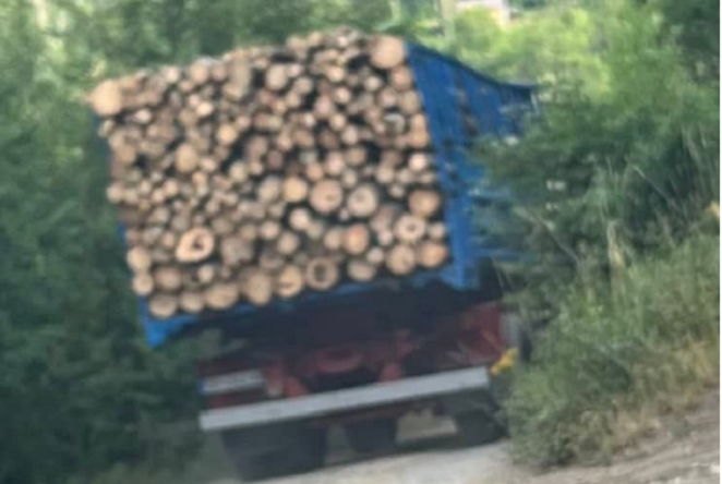 Фатени дрвокрадци во Прилепско и Ресенско