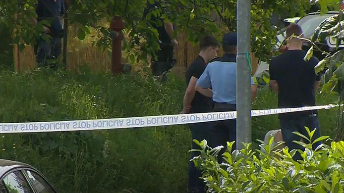 Уапсена мајката на детето кое почина откако два часа било оставено во автомобил во Словенија