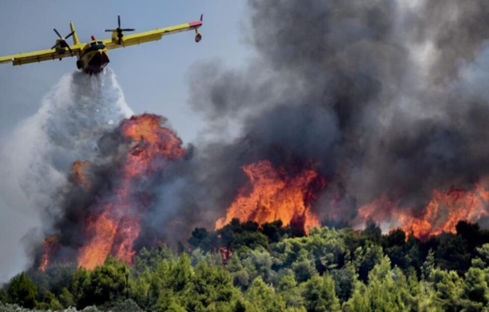 Шумски пожар во близина на манастир во Света Гора