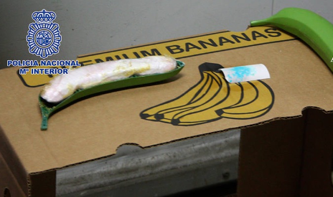 Во Ротердам запленети повеќе од осум тони кокаин скриени во контејнер со банани
