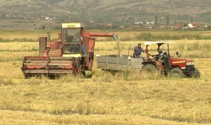 Николовски најави мерка за складирање на житото во рок од девет месеци