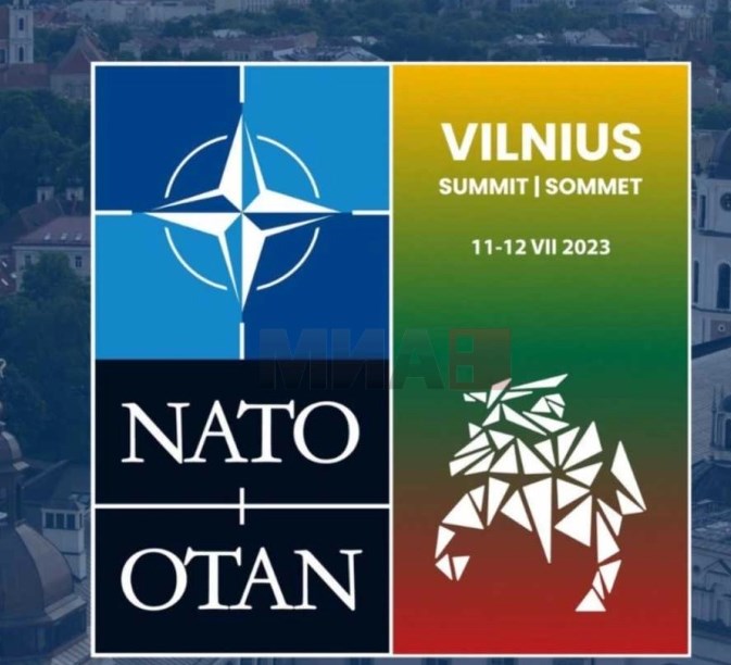 НАТО самит во Литванија, Украина главна тема