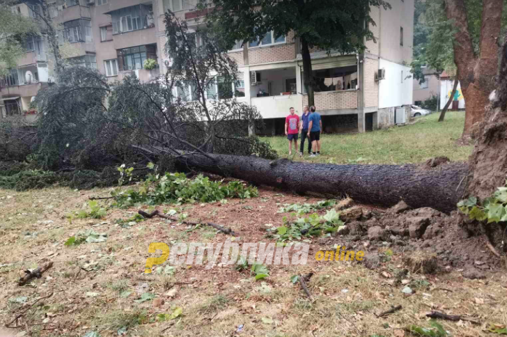 УХМР предупредува: Попладнево повторно силен ветер, некаде и снег