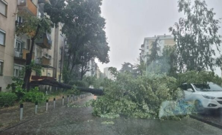 Паднати дрвја и оштетени повеќе автомобили во невремето во Скопје