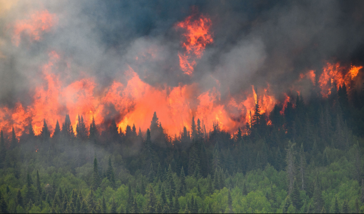 Илјадници луѓе бегаат од шумските пожари во северна Канада