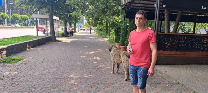 Тетовец два пати неделава пријавил напад од бездомно куче, општината бара трпение од граѓаните