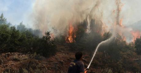 Пожар избувна на грчкиот остров Евија