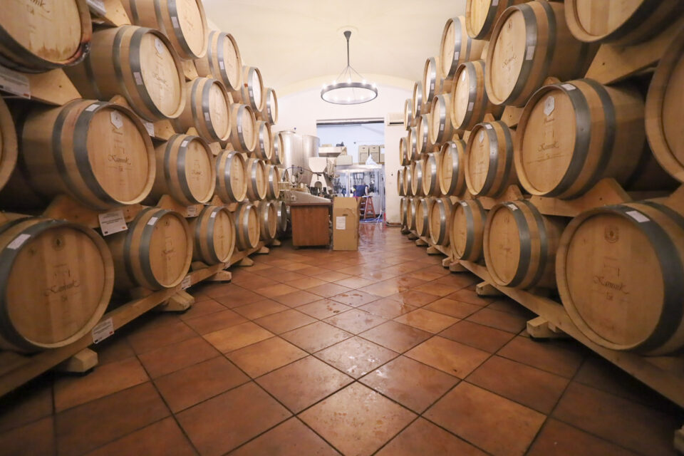 Македонија е 13 земја во светот по остварен девизен прилив од извоз на вино