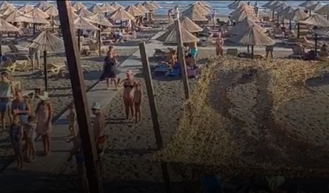 Засвире „Хеј Словени“ па цела плажа во Улцињ стана на нозе