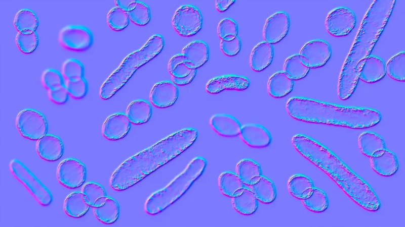 Во САД починаа три лица по инфекција со ретка бактерија