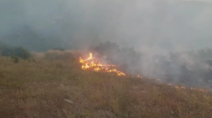 ЦУК: Пожар кај Ѓопчели, на терен пожарникарите од Гевгелија и од Дојран