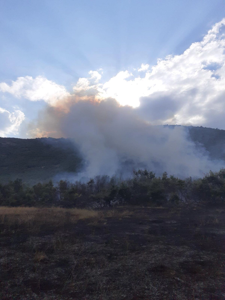 Голем пожар кај Дебрешта, ќе интервенираат трите Ер Трактори на ДЗС