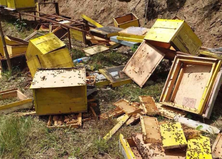 Mечки уништиле околу 200 пчелни сандаци во Дебарско