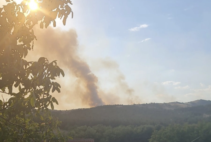Избувна нов шумски пожар на територијата на Илинден