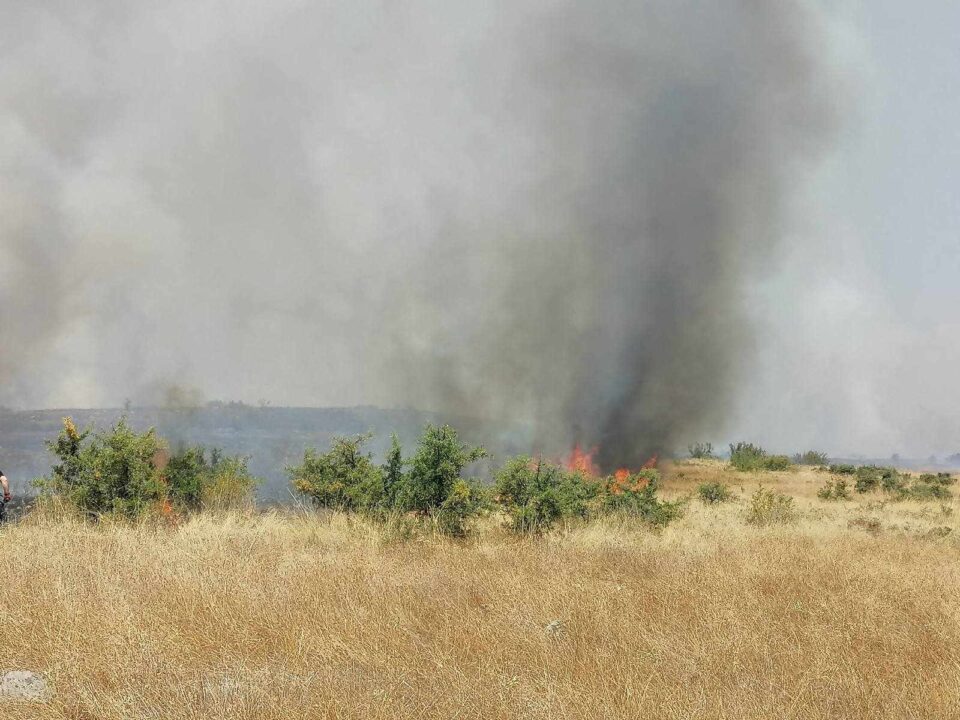 Пожарот во Чешиново-Облешево се проширил во Пробиштип, ќе се гасне и со воздухоплови