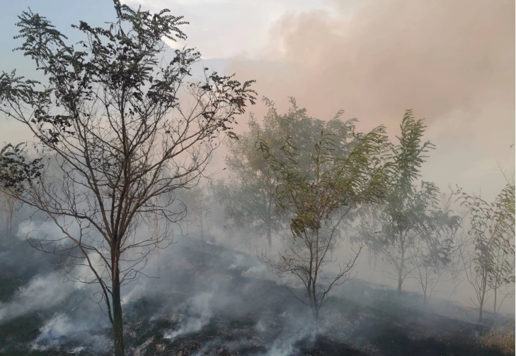 Пожарот на истокот изгаснат, но остануваат активни пожарите во Скопско и Студеничани