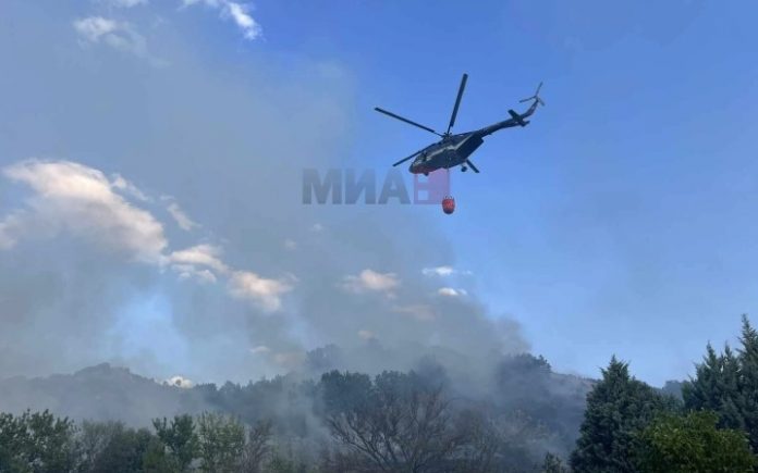 Пожар во Општина Кривогаштани