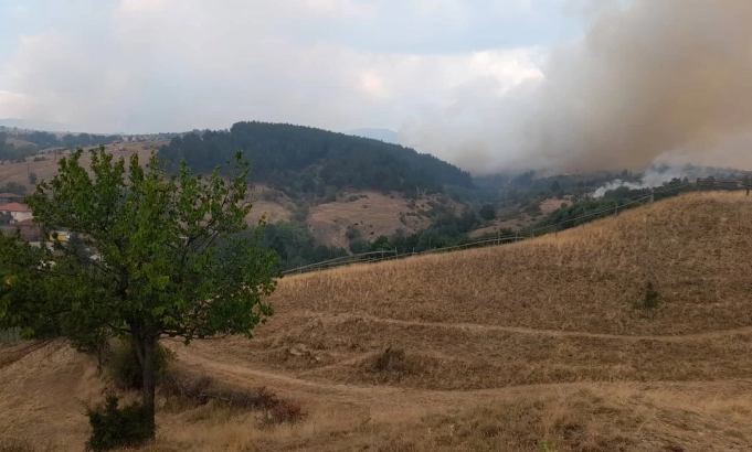 Пожар кај селата Смесница, Ново Село и Страхојадица во Општина Зелениково