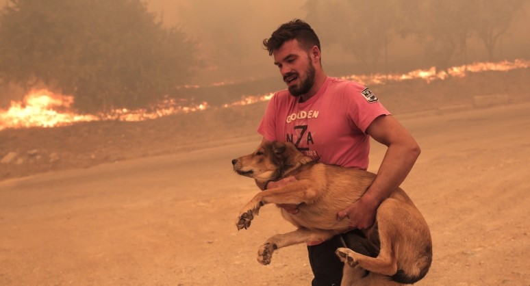 Херојот од Грција: Спасуваше животни додека пожарот голташе сѐ околу