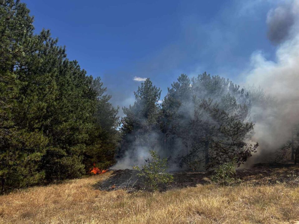 Голем пожар кај Лозово, ќе интервенираат ер-тракторите и хеликотерите